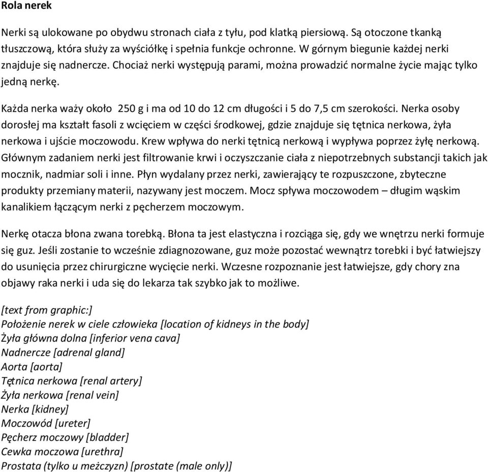 Każda nerka waży około 250 g i ma od 10 do 12 cm długości i 5 do 7,5 cm szerokości.