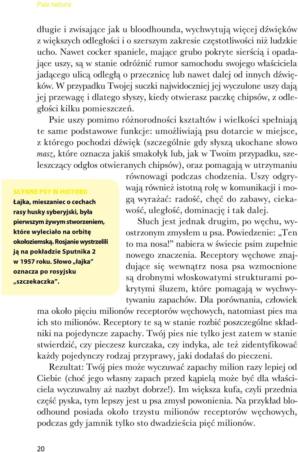 W przypadku Twojej suczki najwidoczniej jej wyczulone uszy daj jej przewag i dlatego s yszy, kiedy otwierasz paczk chipsów, z odleg o ci kilku pomieszcze.