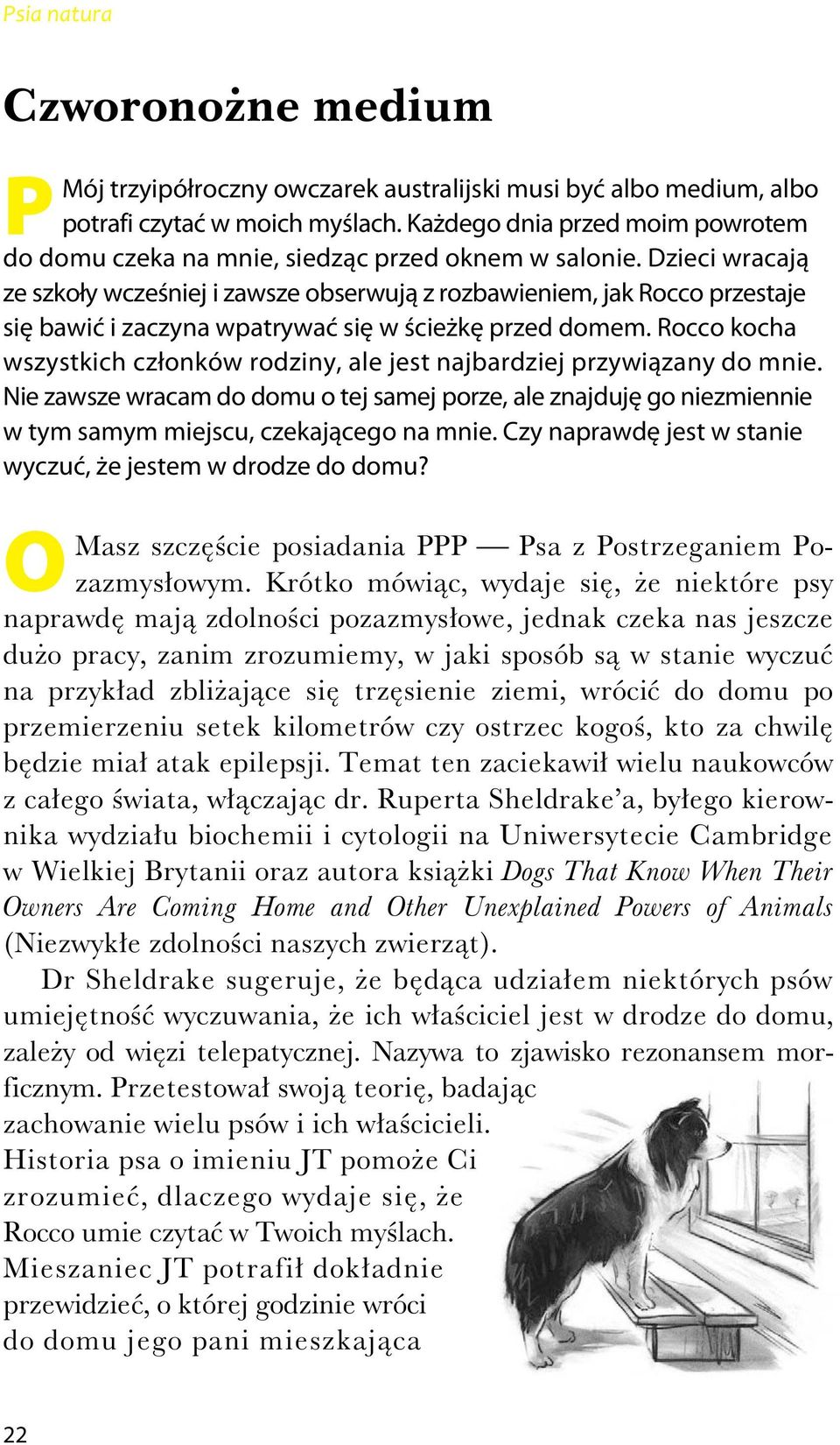 Dzieci wracają ze szkoły wcześniej i zawsze obserwują z rozbawieniem, jak Rocco przestaje się bawić i zaczyna wpatrywać się w ścieżkę przed domem.