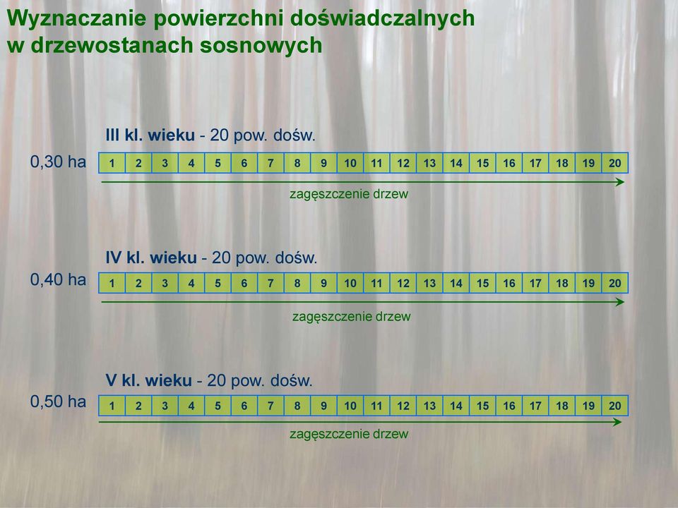 wieku - 20 pow. dośw.