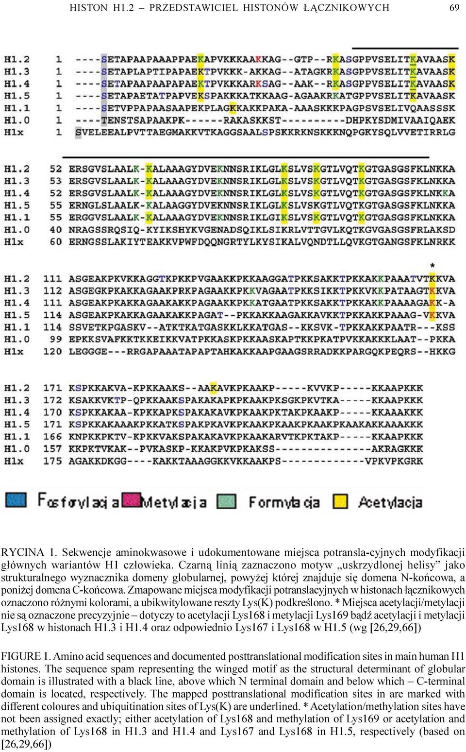 Zmapowane miejsca modyfikacji potranslacyjnych w histonach ³¹cznikowych oznaczono ró nymi kolorami, a ubikwitylowane reszty Lys(K) podkreœlono.