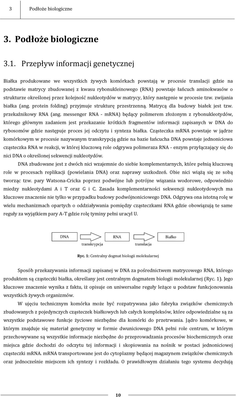 aminokwasów o strukturze określonej przez kolejność nukleotydów w matrycy, który następnie w procesie tzw. zwijania białka (ang. protein folding) przyjmuje strukturę przestrzenną.