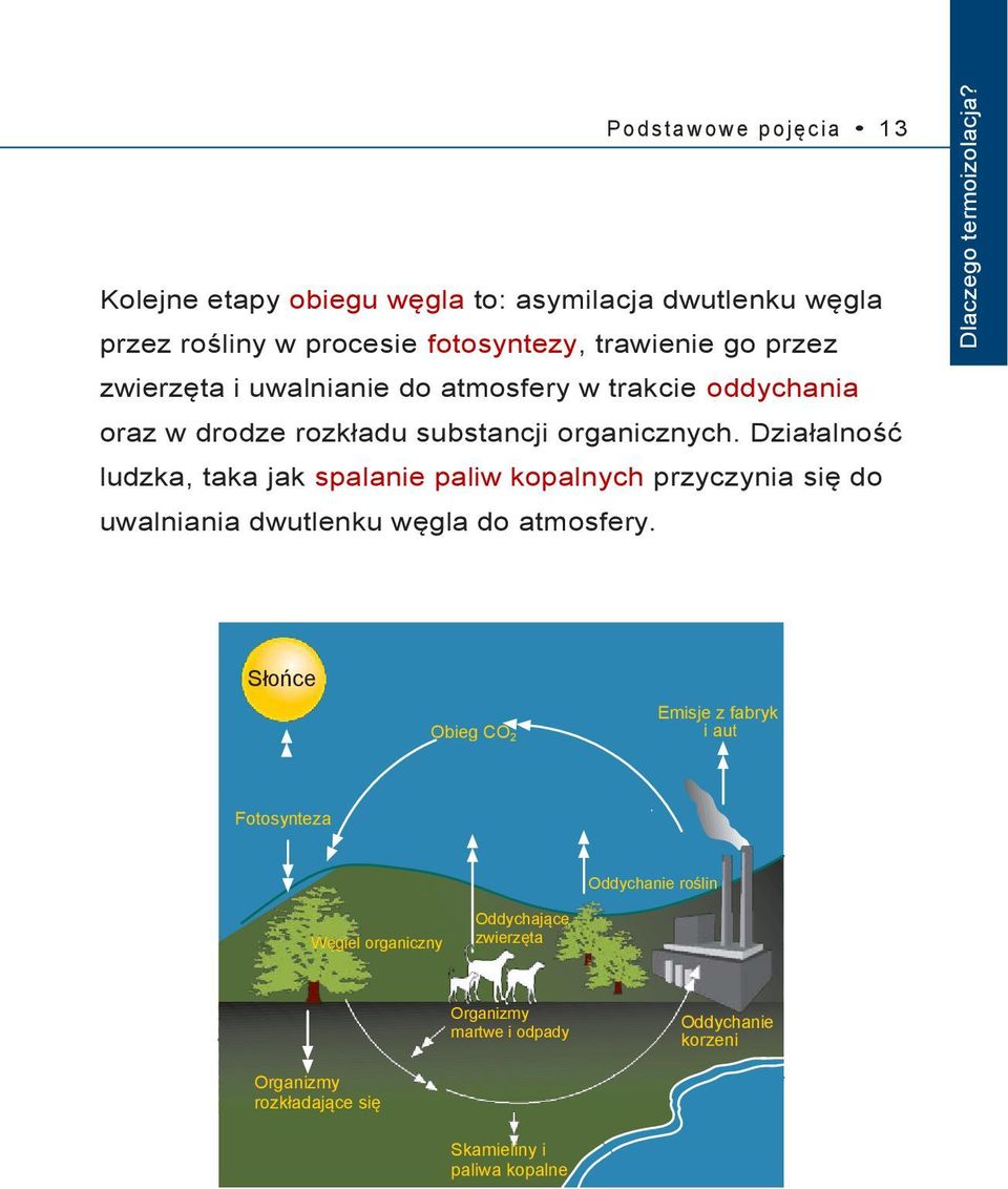 zwierzęta i uwalnianie do atmosfery w trakcie oddychania oraz w drodze rozkładu substancji organicznych.