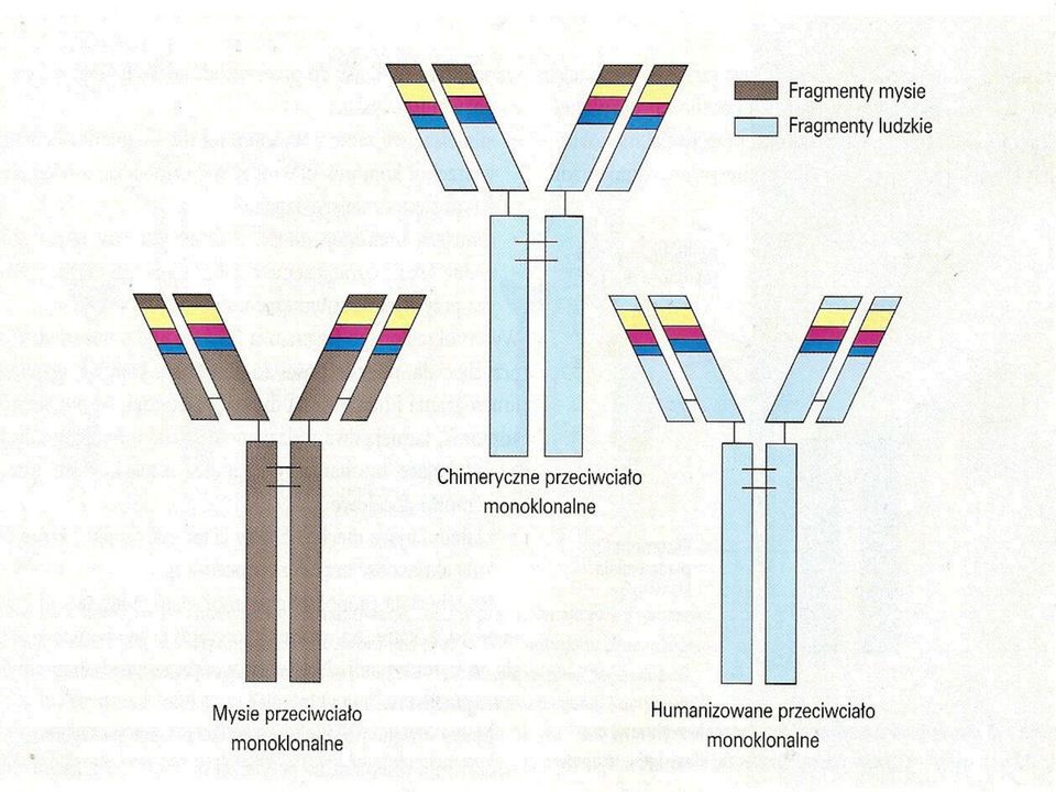 (metabolizm karbamazepiny ulega