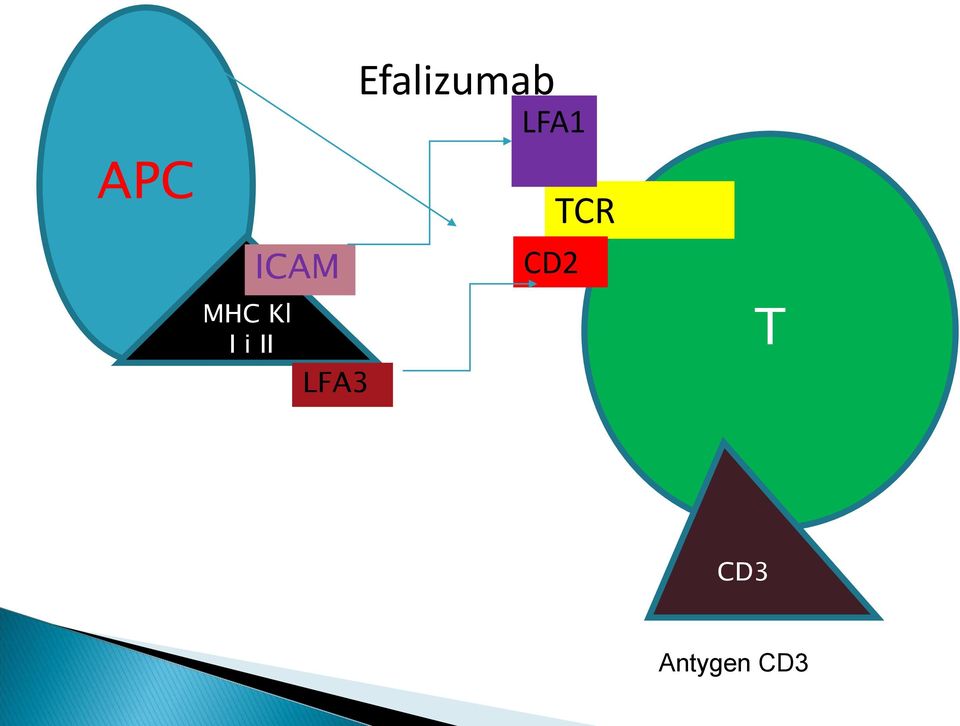 Efalizumab LFA1