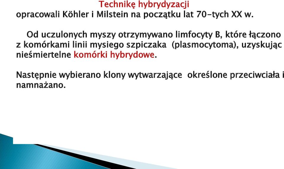 linii mysiego szpiczaka (plasmocytoma), uzyskując nieśmiertelne komórki