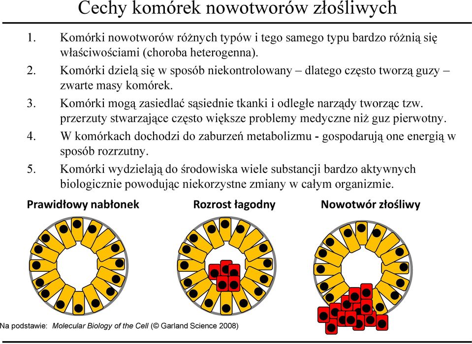 przerzuty stwarzające często większe problemy medyczne niż guz pierwotny. 4. W komórkach dochodzi do zaburzeń metabolizmu - gospodarują one energią w sposób rozrzutny. 5.