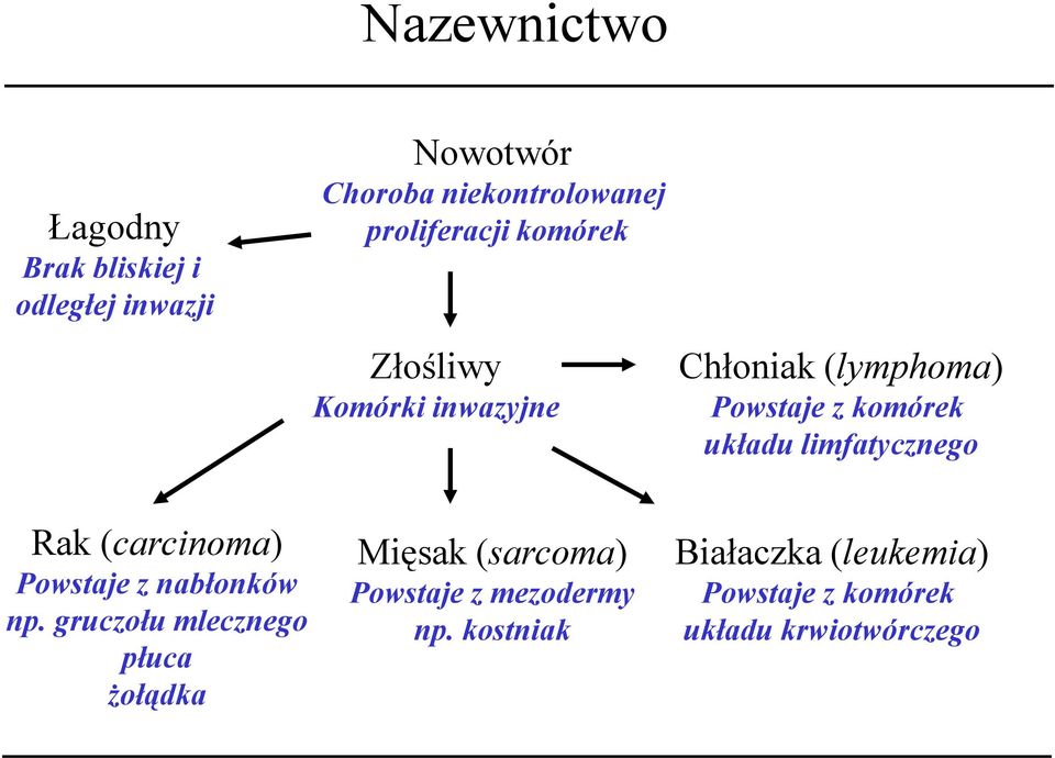 limfatycznego Rak (carcinoma) Powstaje z nabłonków np.