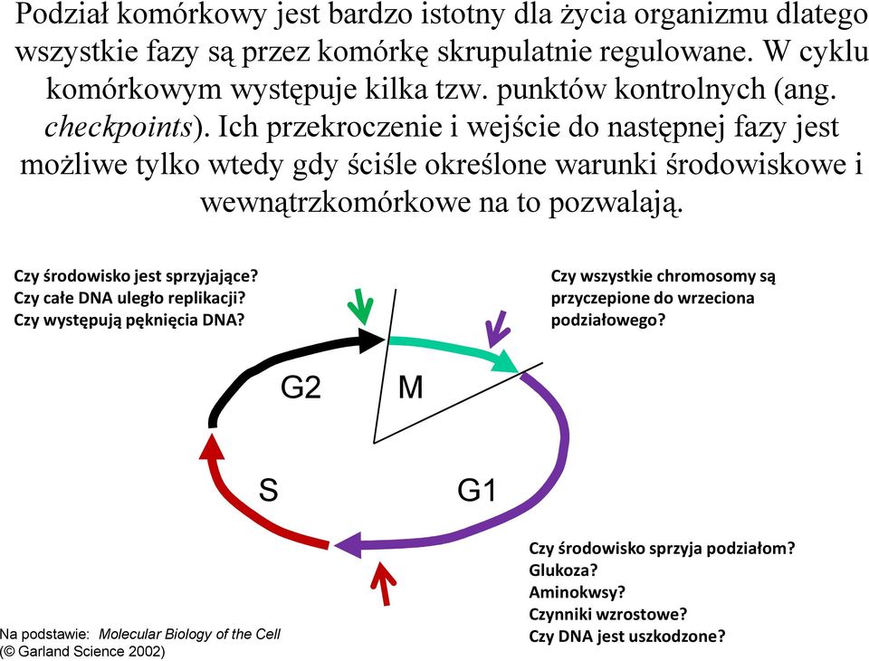 Ich przekroczenie i wejście do następnej fazy jest możliwe tylko wtedy gdy ściśle określone warunki środowiskowe i wewnątrzkomórkowe na to pozwalają.