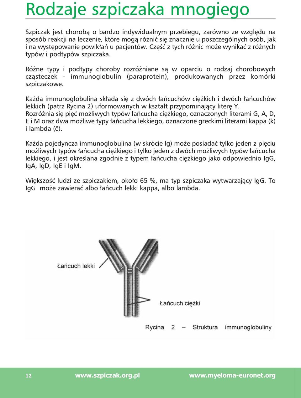 Różne typy i podtypy choroby rozróżniane są w oparciu o rodzaj chorobowych cząsteczek - immunoglobulin (paraprotein), produkowanych przez komórki szpiczakowe.