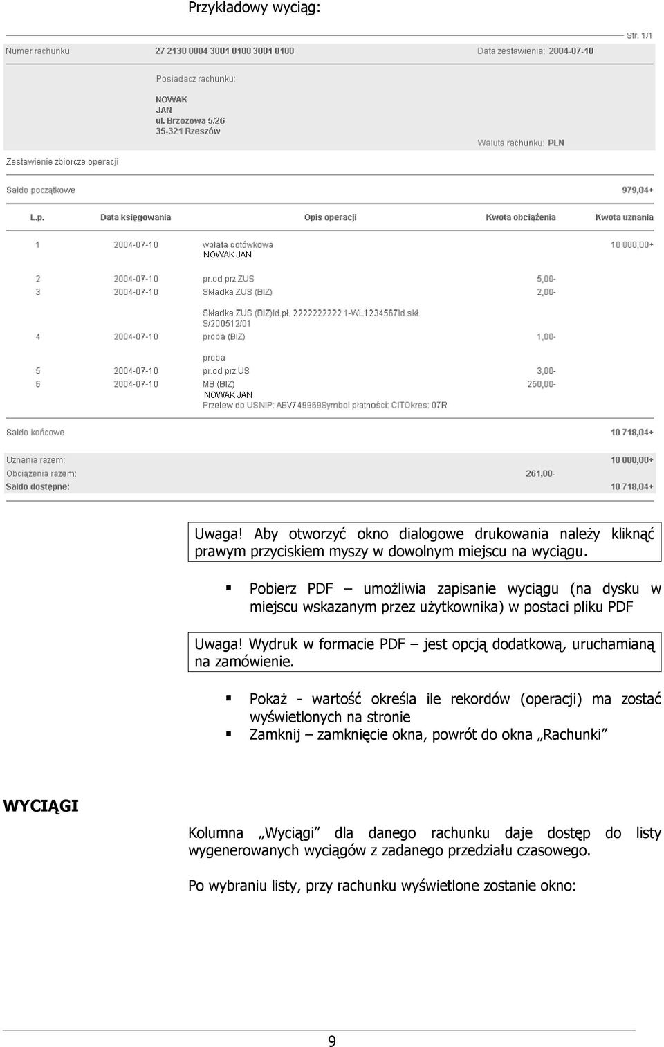 Wydruk w formacie PDF jest opcją dodatkową, uruchamianą na zamówienie.