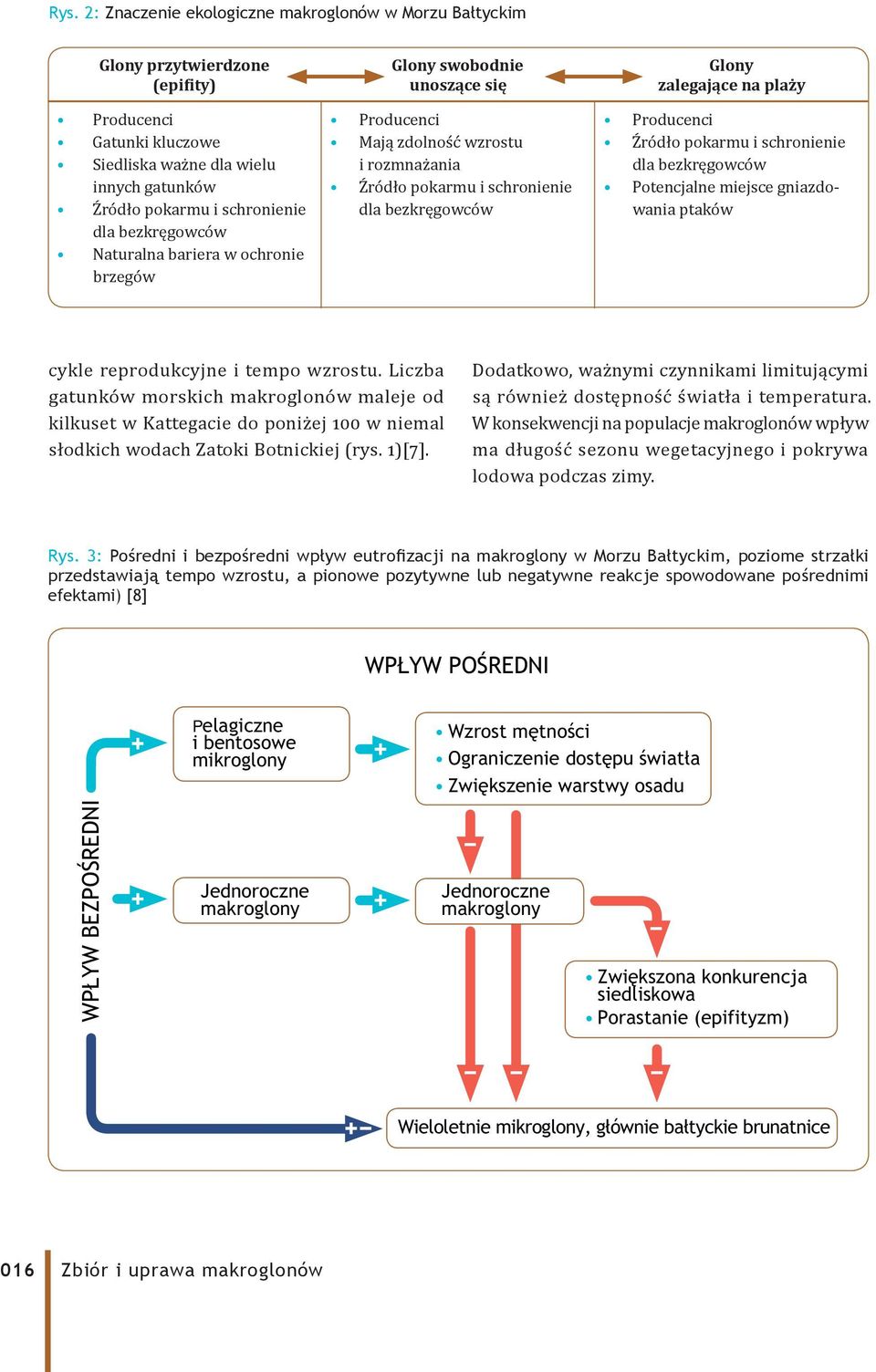 Producenci Źródło pokarmu i schronienie dla bezkręgowców Potencjalne miejsce gniazdowania ptaków cykle reprodukcyjne i tempo wzrostu.