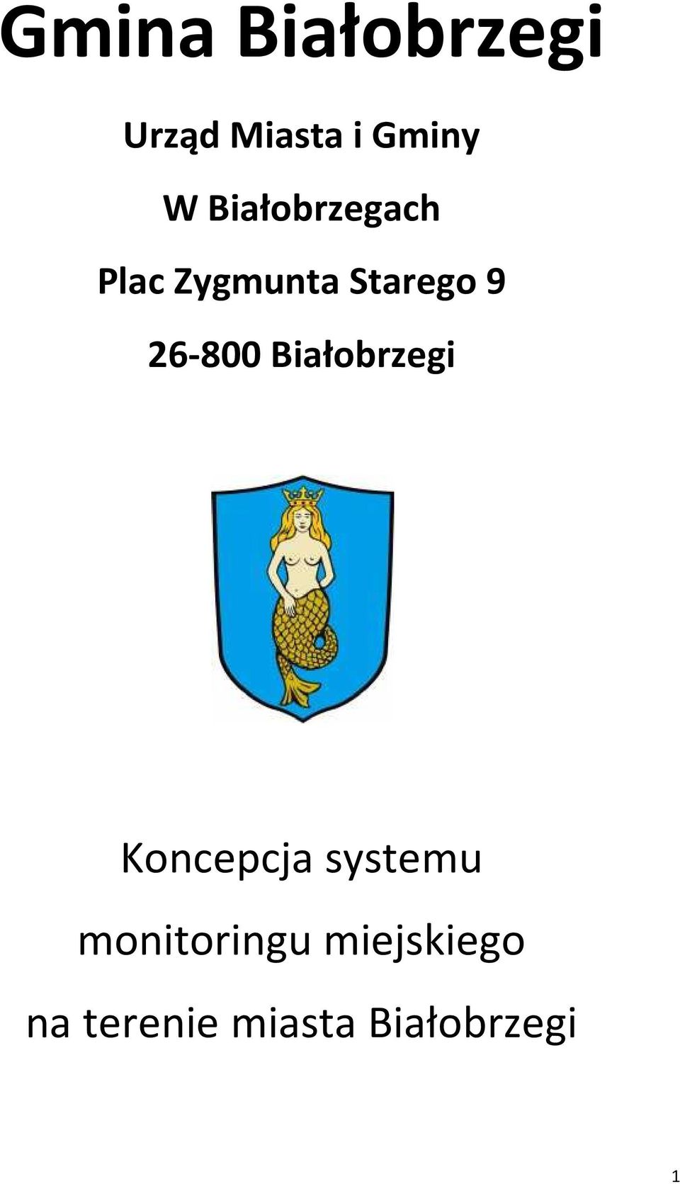 26-800 Białobrzegi Koncepcja systemu