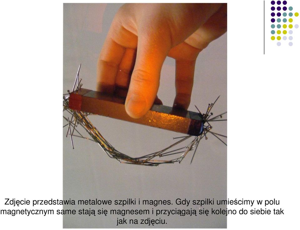 Gdy szpilki umieścimy w polu magnetycznym