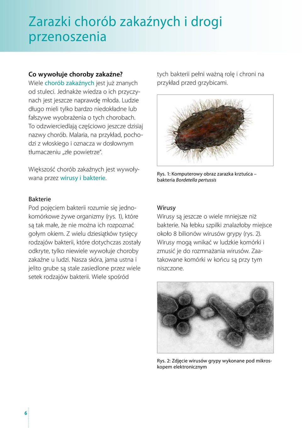 Malaria, na przykład, pochodzi z włoskiego i oznacza w dosłownym tłumaczeniu złe powietrze. Większość chorób zakaźnych jest wywoływana przez wirusy i bakterie.