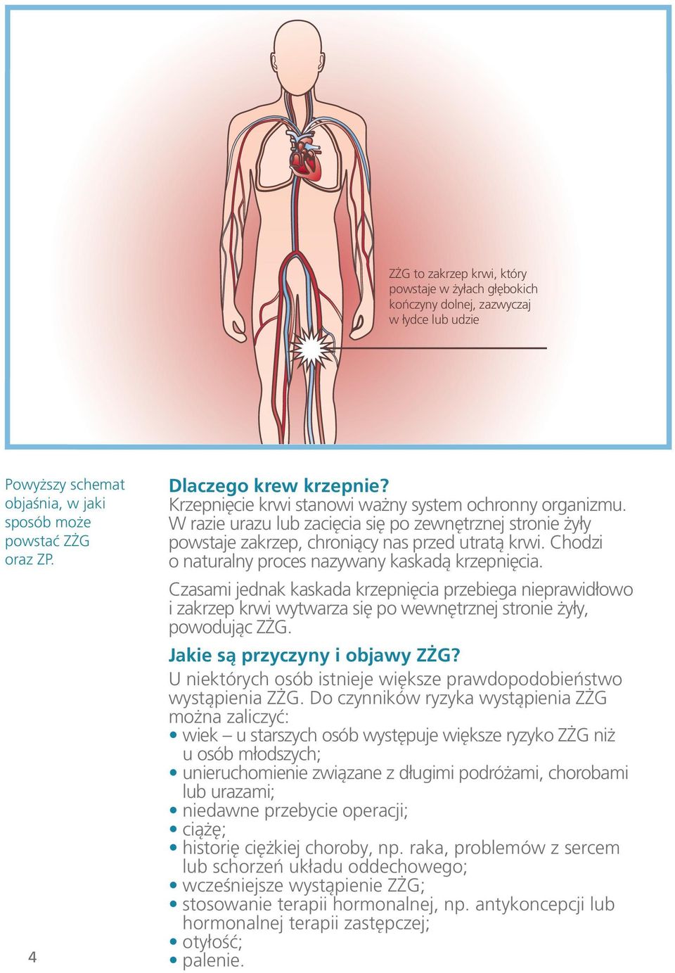 Chodzi o naturalny proces nazywany kaskadą krzepnięcia. Czasami jednak kaskada krzepnięcia przebiega nieprawidłowo i zakrzep krwi wytwarza się po wewnętrznej stronie żyły, powodując ZŻG.