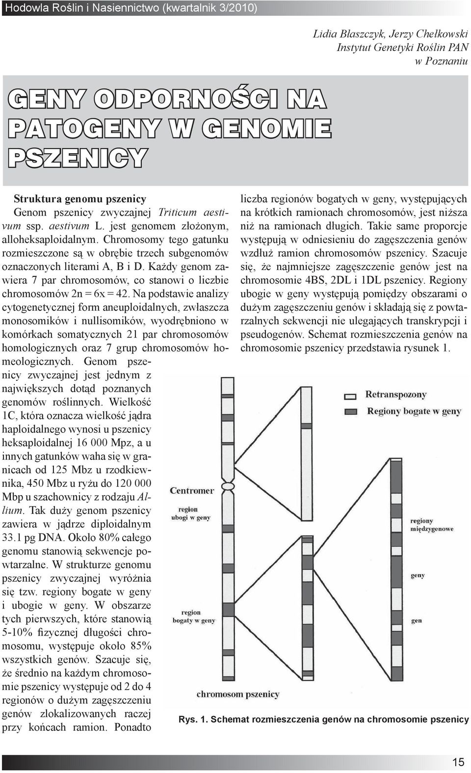 Na podstawie analizy cytogenetycznej form aneuploidalnych, zwłaszcza monosomików i nullisomików, wyodrębniono w komórkach somatycznych 21 par chromosomów homologicznych oraz 7 grup chromosomów