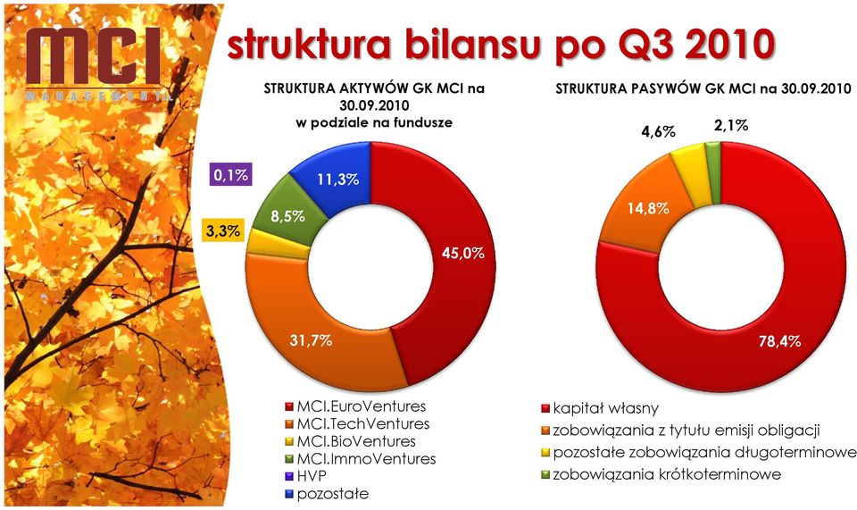 2010 4,6% 2,1% 0,1% 11,3% 3,3% 8,5% 45,0% 14,8% 31,7% 78,4% MCI.EuroVentures MCI.