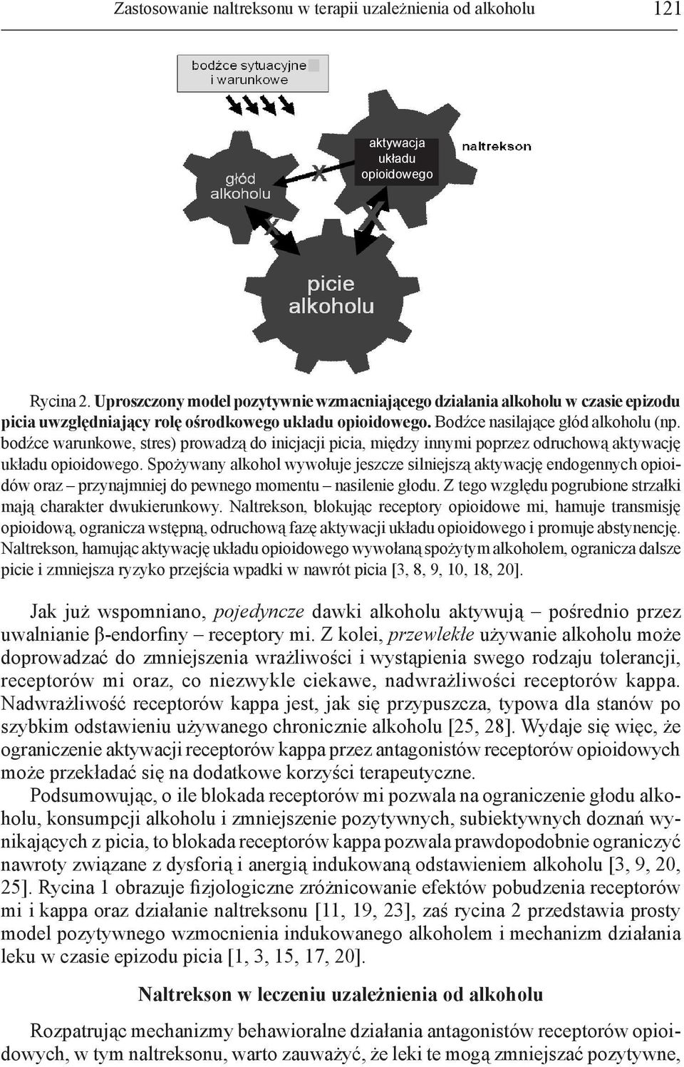 bodźce warunkowe, stres) prowadzą do inicjacji picia, między innymi poprzez odruchową aktywację układu opioidowego.