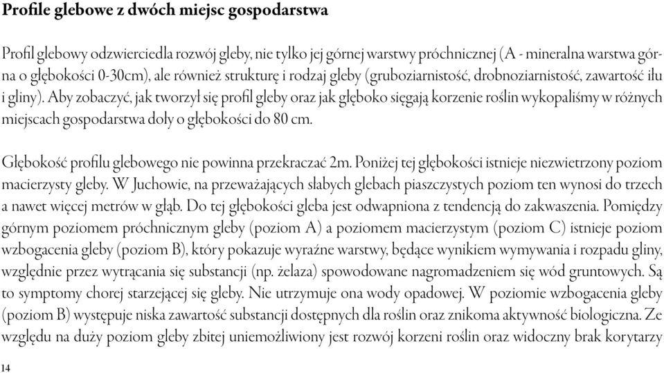 Aby zobaczyć, jak tworzył się profil gleby oraz jak głęboko sięgają korzenie roślin wykopaliśmy w różnych miejscach gospodarstwa doły o głębokości do 80 cm.