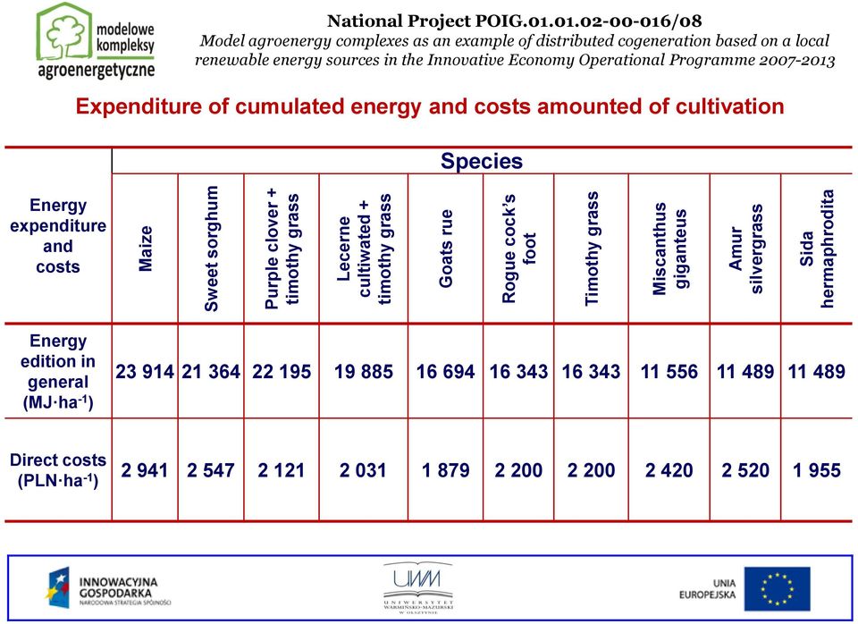 01.02-00-016/08 Model agroenergy complexes as an example of distributed cogeneration based on a local renewable energy sources in the Innovative Economy Operational