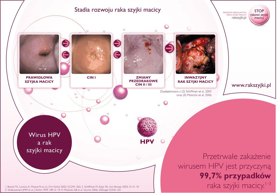 J Clin Pathol 2002; 55:244 265; 2. Schiffman M, Kjaer SK. Inst Monogr 2003; 31:14 19; 3. Walboomers JMM et al.