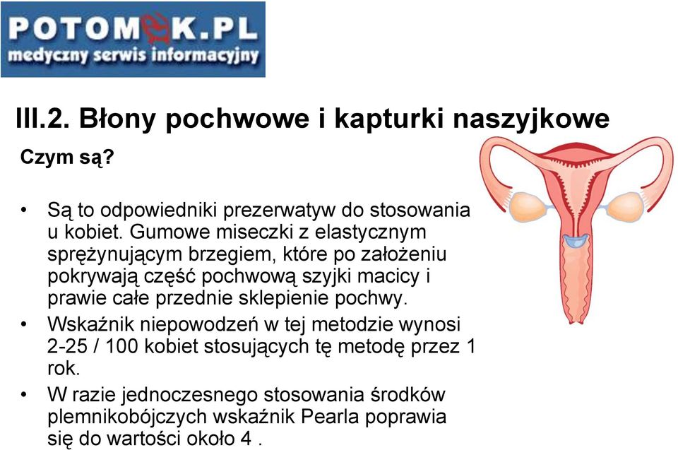 prawie całe przednie sklepienie pochwy.