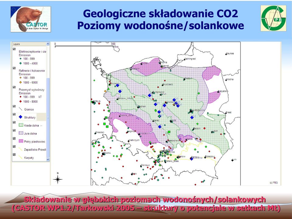 poziomach wodonośnych/solankowych (CASTOR