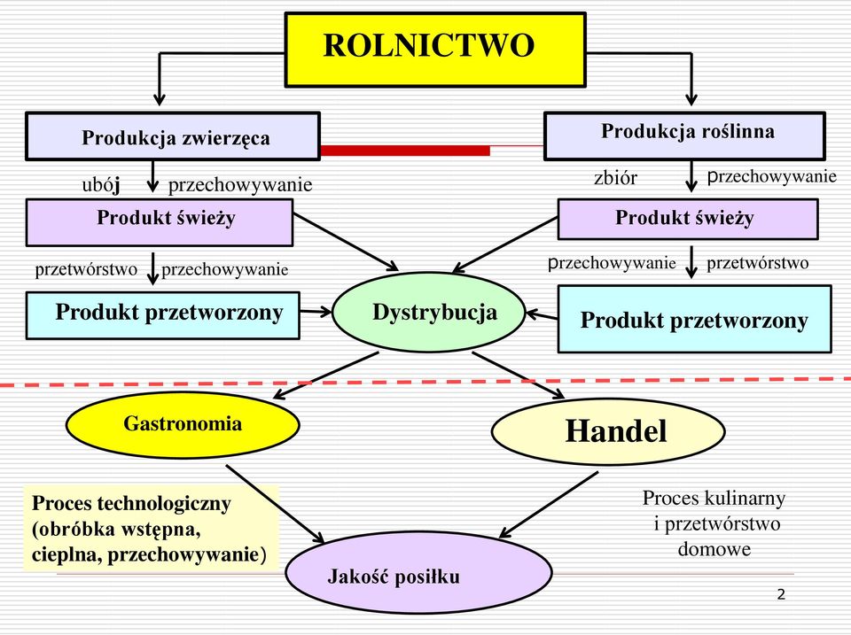 Produkt przetworzony Dystrybucja Produkt przetworzony Gastronomia Handel Proces