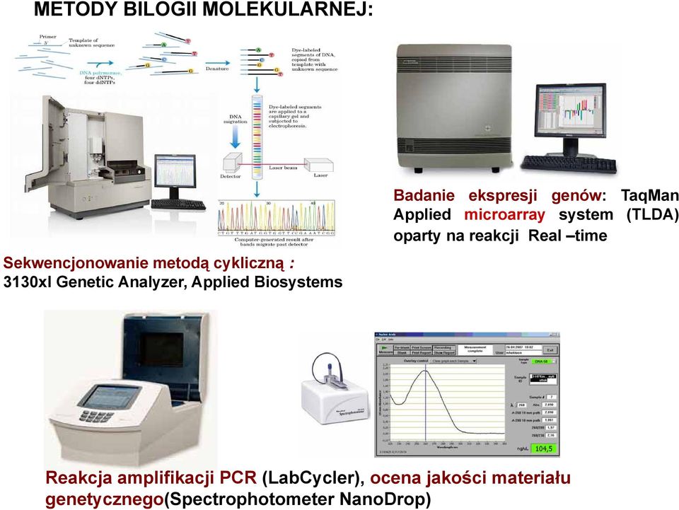 Applied microarray system (TLDA) oparty na reakcji Real time Reakcja