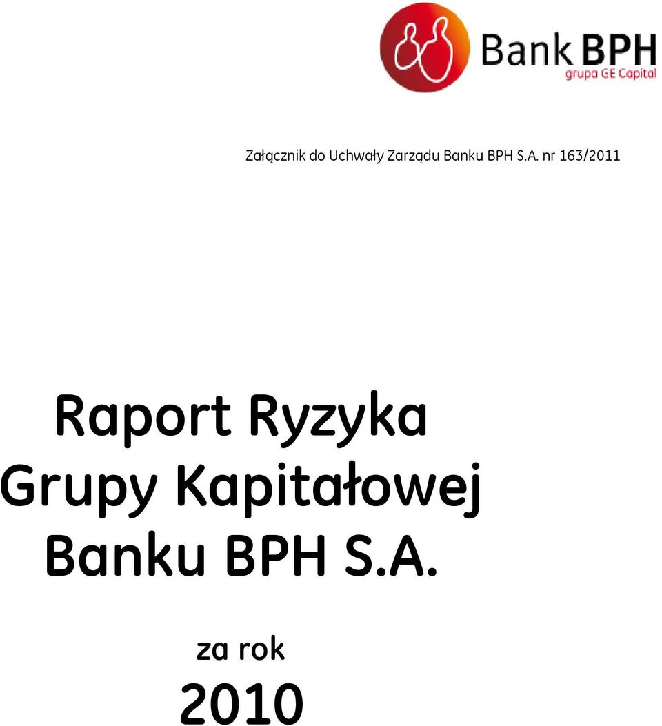 nr 163/2011 Raport Ryzyka