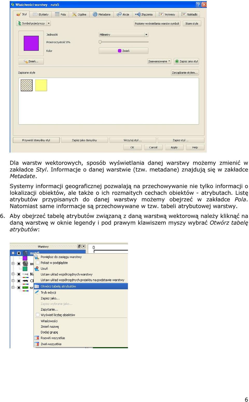 Listę atrybutów przypisanych do danej warstwy możemy obejrzeć w zakładce Pola. Natomiast same informacje są przechowywane w tzw. tabeli atrybutowej warstwy. 6.