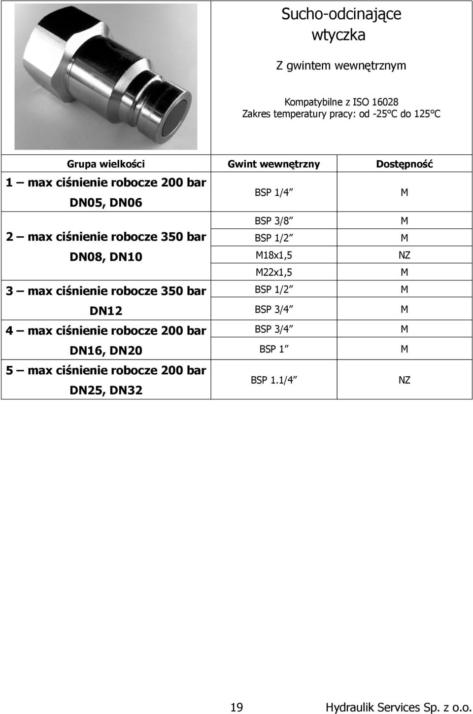 robocze 350 bar BSP 1/2 BSP 3/4 4 max ciśnienie robocze 200 bar BSP 3/4 DN16, DN20 BSP 1