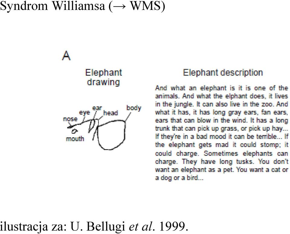 WMS) ilustracja