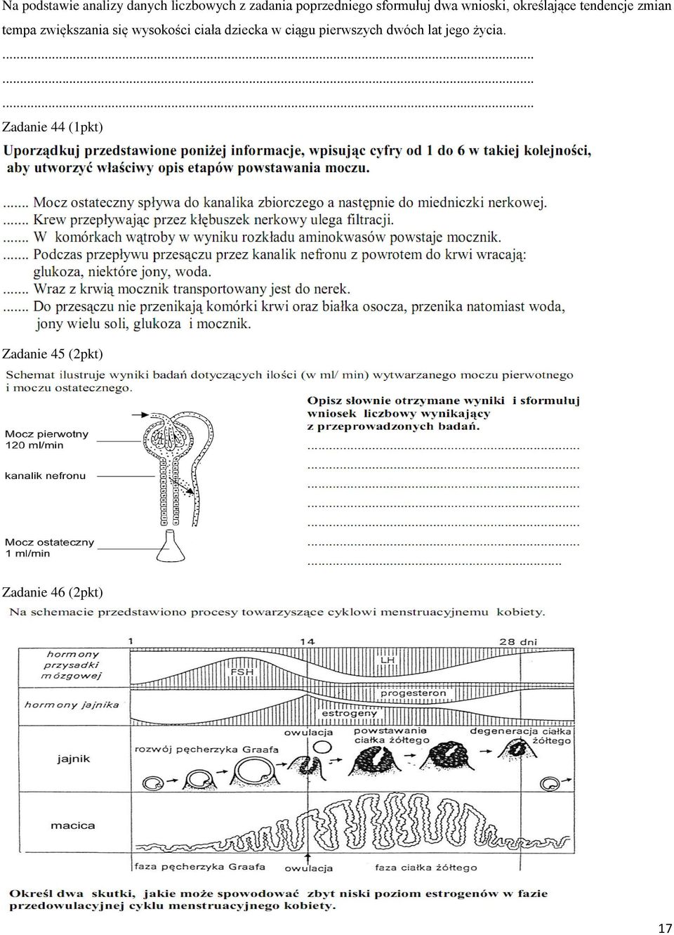 zwiększania się wysokości ciała dziecka w ciągu pierwszych