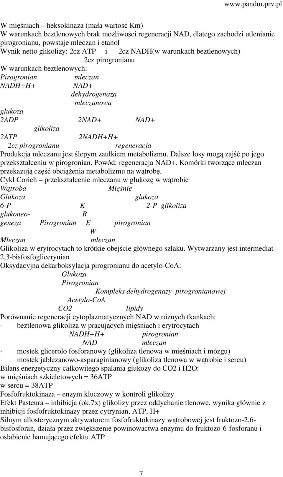 pirogronianu regeneracja Produkcja mleczanu jest ślepym zaułkiem metabolizmu. Dalsze losy mogą zajść po jego przekształceniu w pirogronian. Powód: regeneracja NAD+.