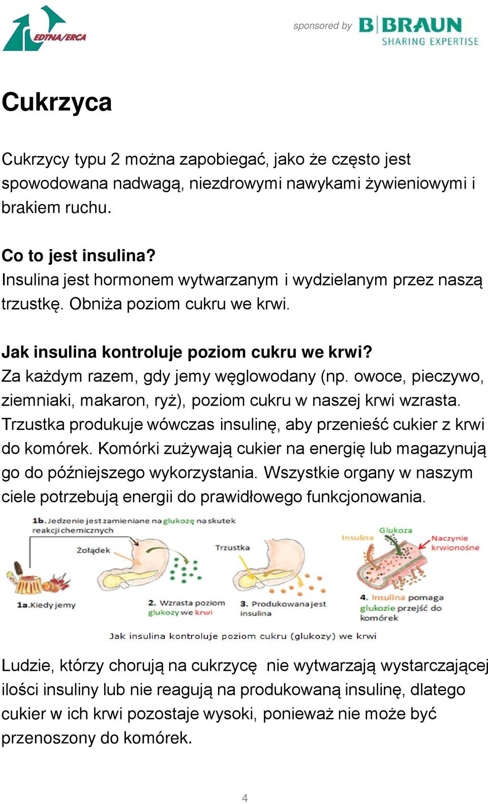 owoce, pieczywo, ziemniaki, makaron, ryż), poziom cukru w naszej krwi wzrasta. Trzustka produkuje wówczas insulinę, aby przenieść cukier z krwi do komórek.