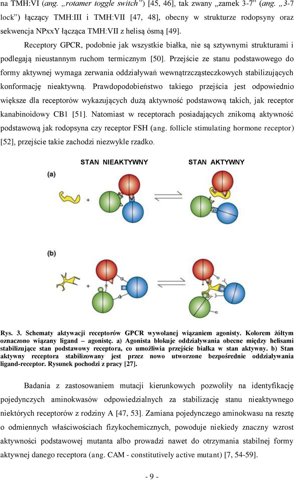 Receptory GPCR, podobnie jak wszystkie białka, nie są sztywnymi strukturami i podlegają nieustannym ruchom termicznym [50].