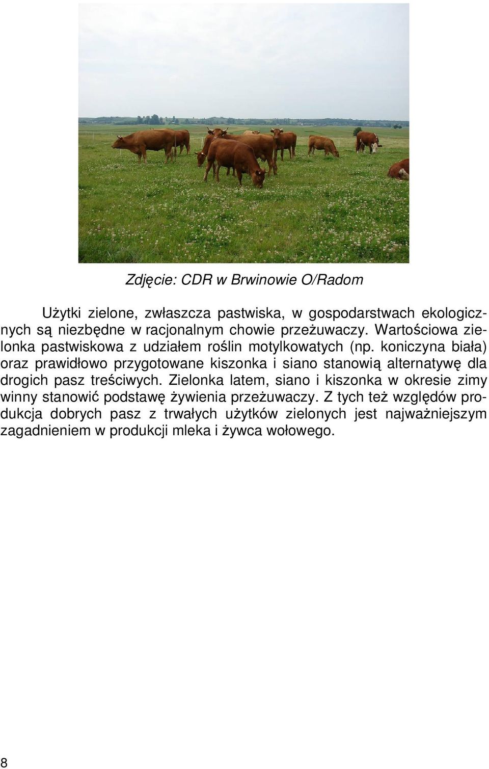 koniczyna biała) oraz prawidłowo przygotowane kiszonka i siano stanowią alternatywę dla drogich pasz treściwych.