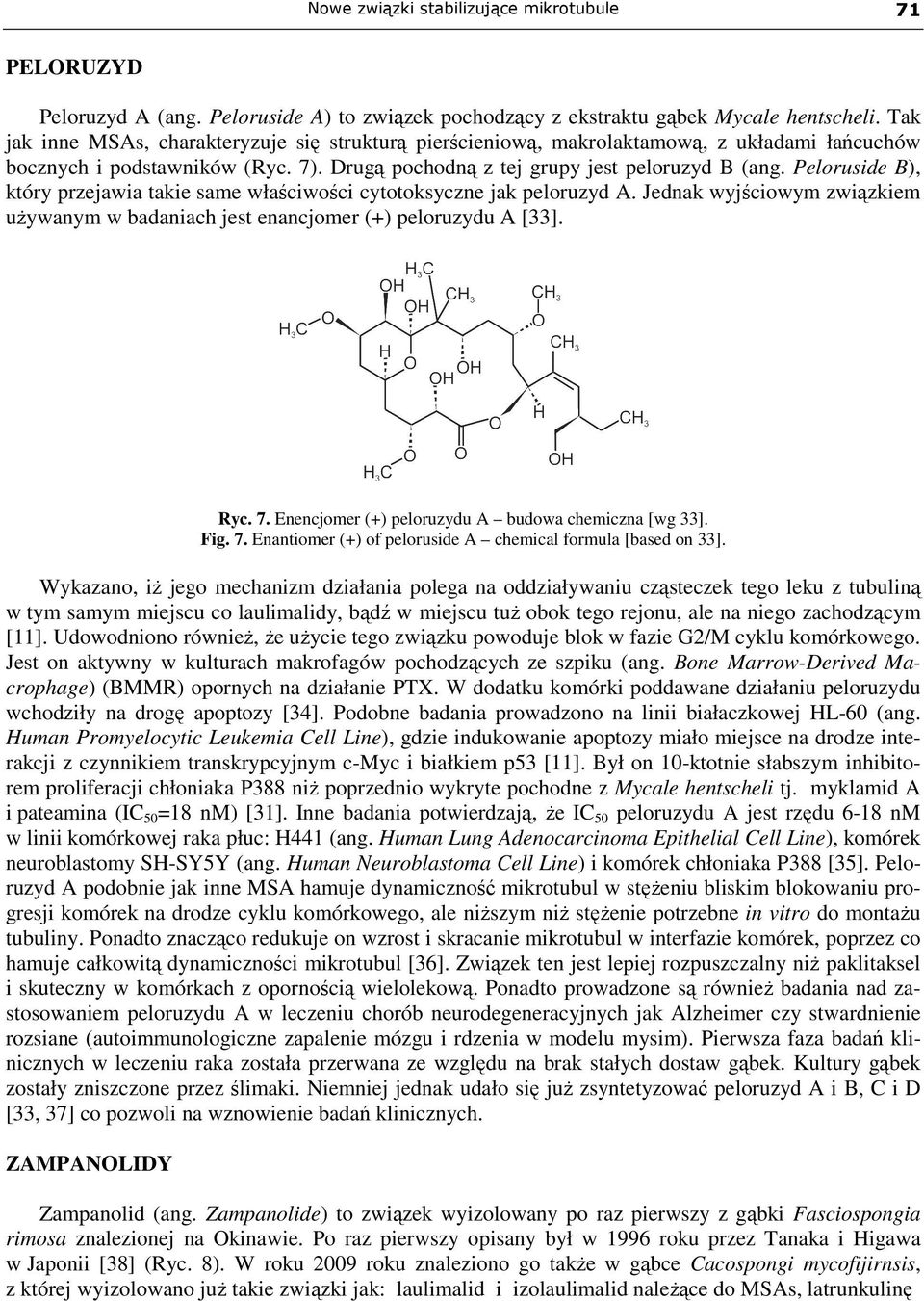 Peloruside B), który przejawia takie same właściwości cytotoksyczne jak peloruzyd A. Jednak wyjściowym związkiem uŝywanym w badaniach jest enancjomer (+) peloruzydu A [33]. Ryc. 7.