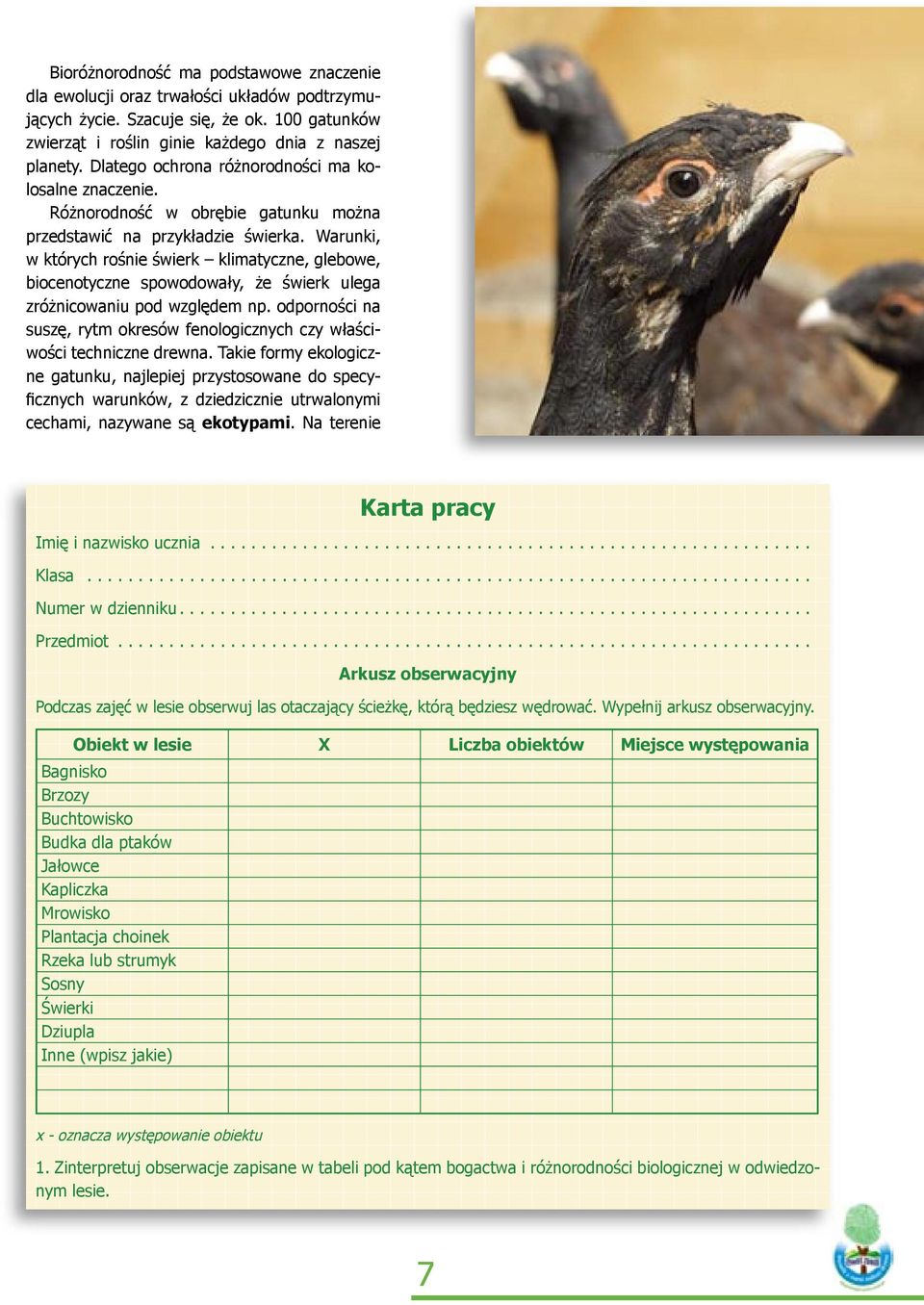 Warunki, w których rośnie świerk klimatyczne, glebowe, biocenotyczne spowodowały, że świerk ulega zróżnicowaniu pod względem np.