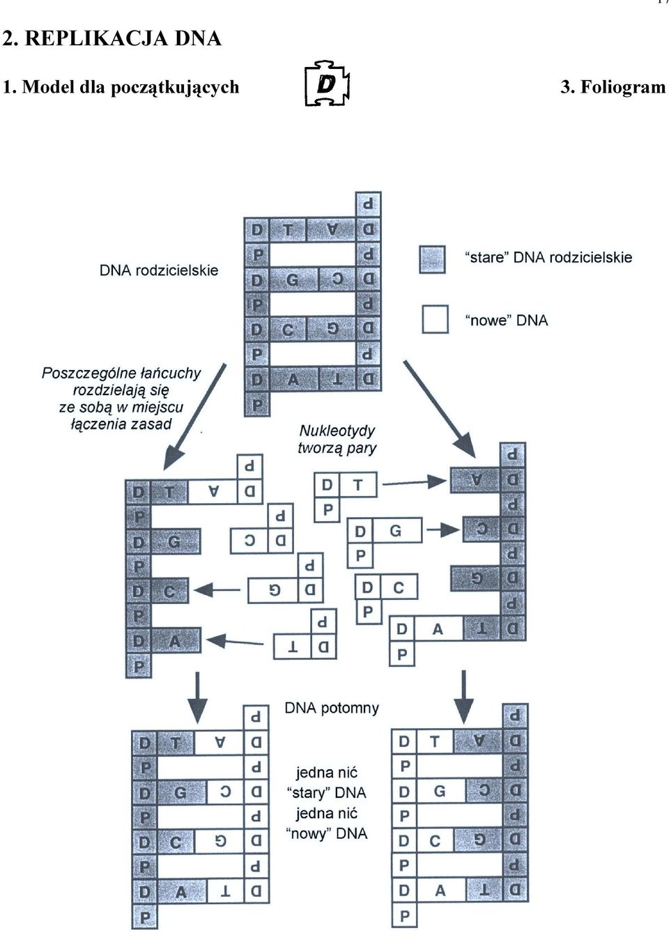 1. Model dla