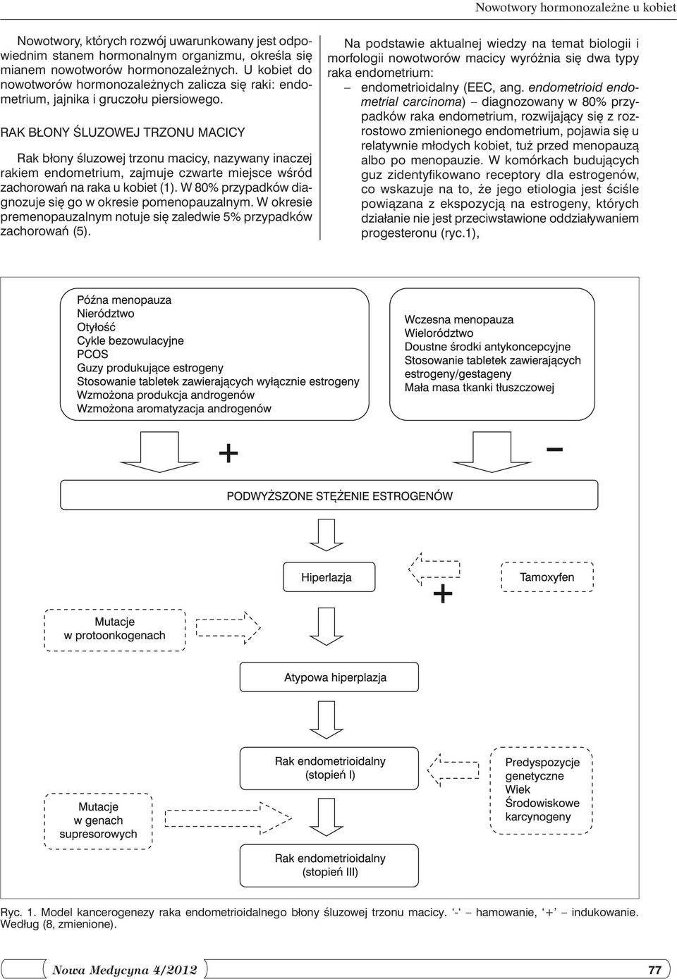 RAK BŁONY ŚLUZOWEJ TRZONU MACICY Rak błony śluzowej trzonu macicy, nazywany inaczej rakiem endometrium, zajmuje czwarte miejsce wśród zachorowań na raka u kobiet (1).