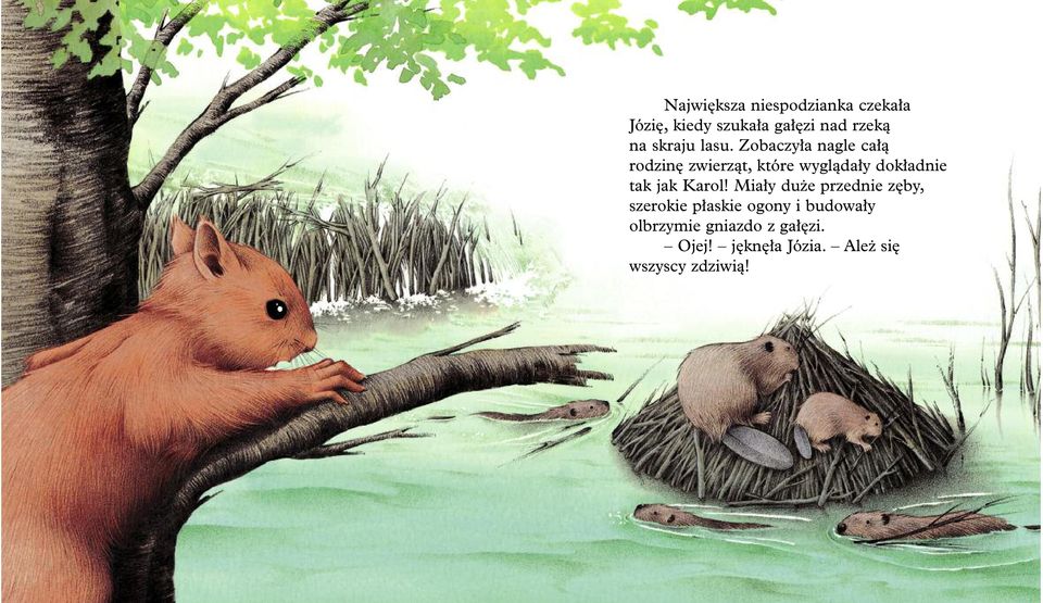 Zobaczyła nagle całą rodzinę zwierząt, które wyglądały dokładnie tak jak