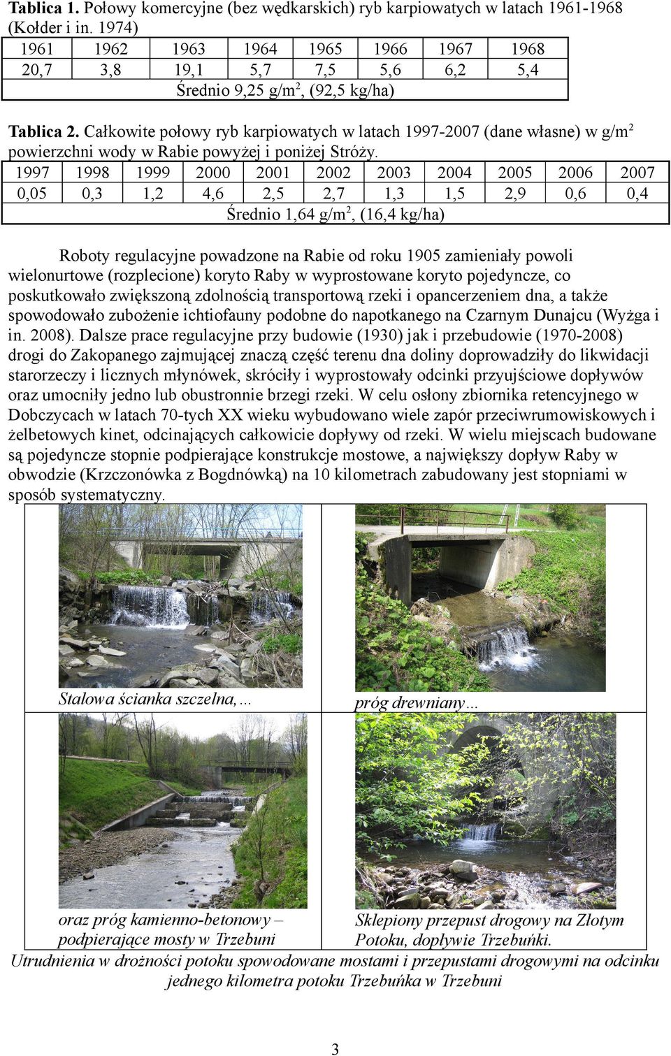 Całkowite połowy ryb karpiowatych w latach 1997-2007 (dane własne) w g/m2 powierzchni wody w Rabie powyżej i poniżej Stróży.