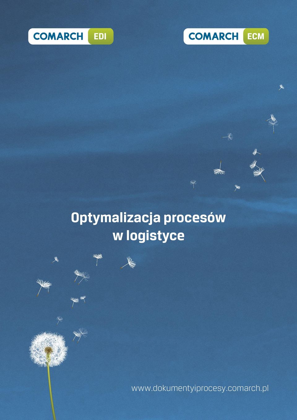 logistyce www.