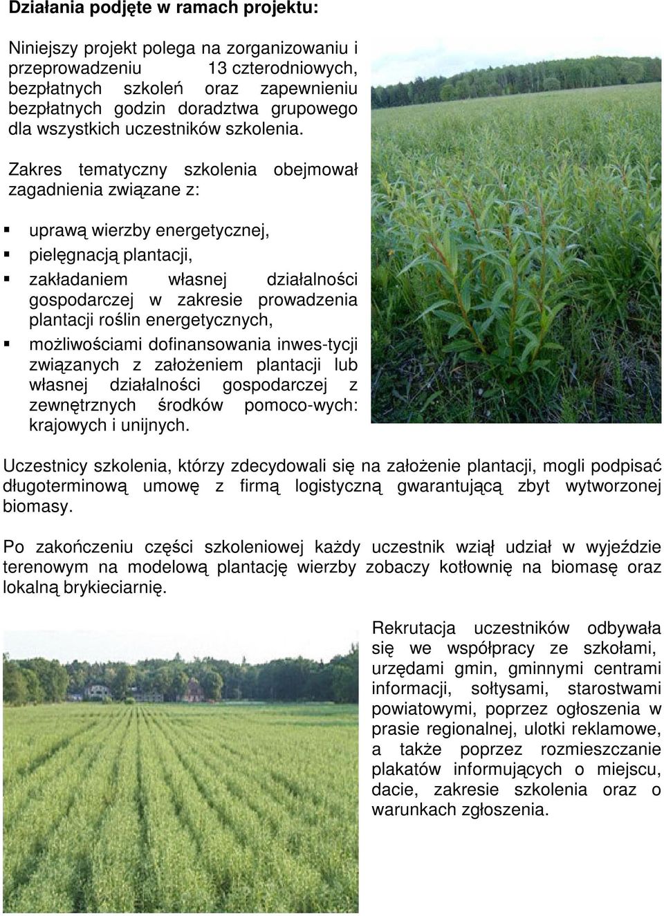 Zakres tematyczny szkolenia obejmował zagadnienia związane z: uprawą wierzby energetycznej, pielęgnacją plantacji, zakładaniem własnej działalności gospodarczej w zakresie prowadzenia plantacji