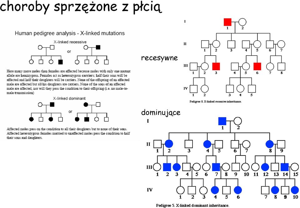 płcią