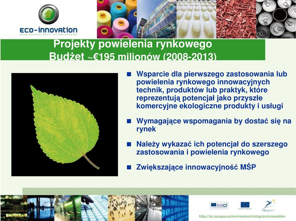 jako przyszłe komercyjne ekologiczne produkty i usługi Wymagające wspomagania by dostać się na rynek