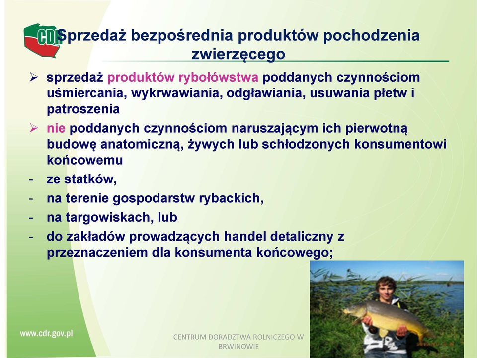 pierwotną budowę anatomiczną, żywych lub schłodzonych konsumentowi końcowemu - ze statków, - na terenie gospodarstw